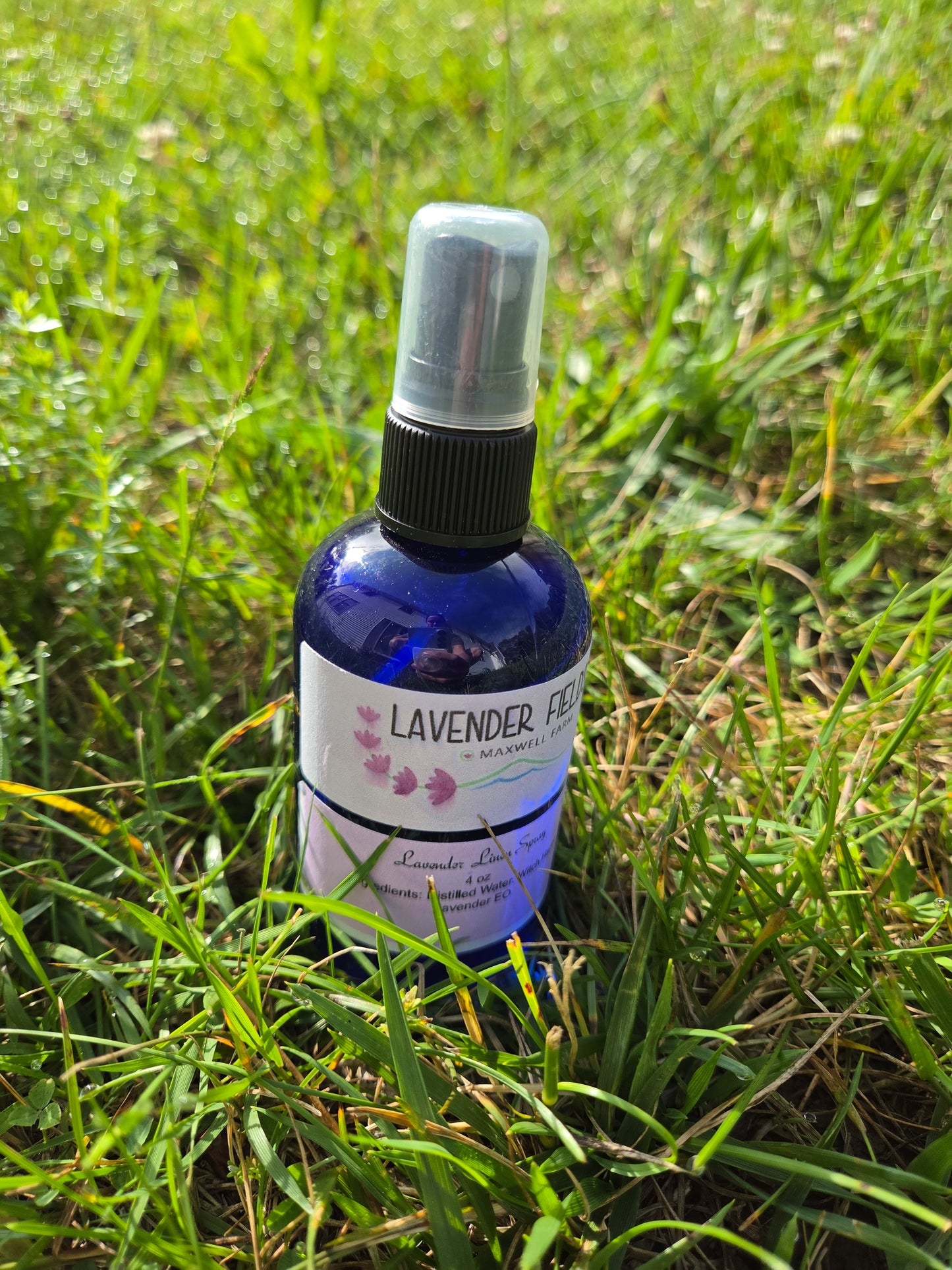 Lavender Fields at Maxwell Farms Lavender Spray